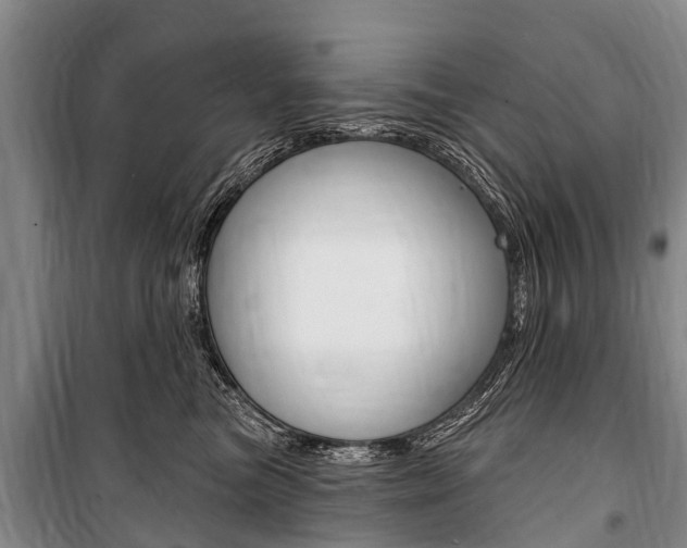 X0000101150473200806270804