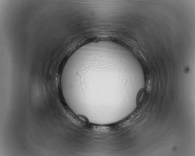 X0000101150476200806270804