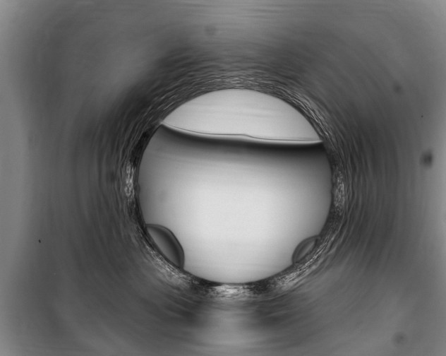 X0000101150477200806270804