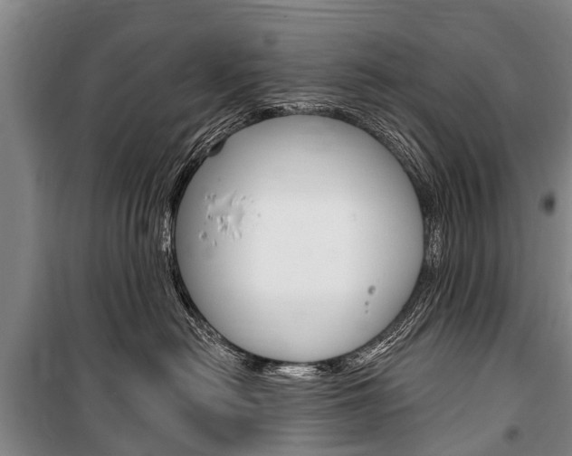 X0000101150478200806270804