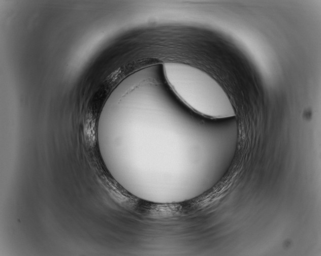 X0000101150479200806270804