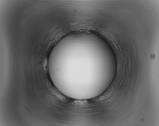 X0000101150480200806270804