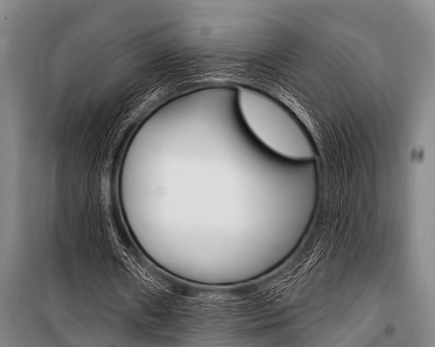 X0000101150482200806270803