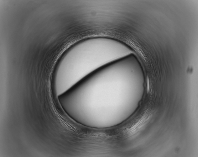 X0000101150483200806270803