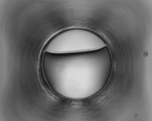 X0000101150484200806270803
