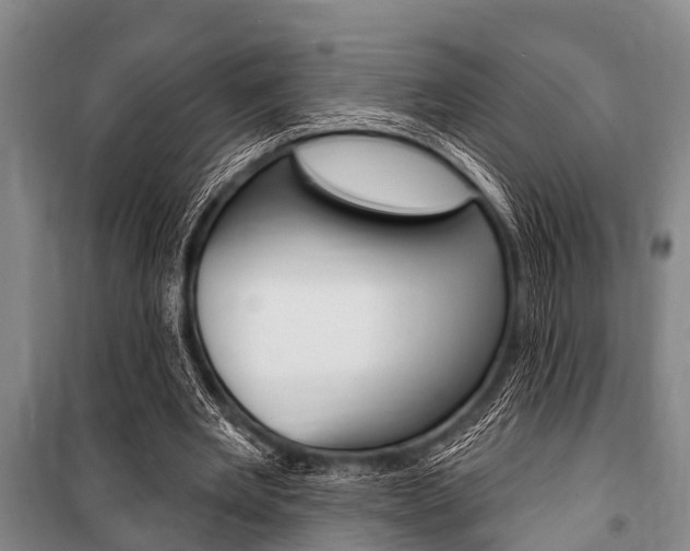 X0000101150485200806270803