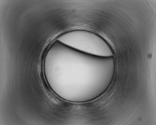 X0000101150486200806270803