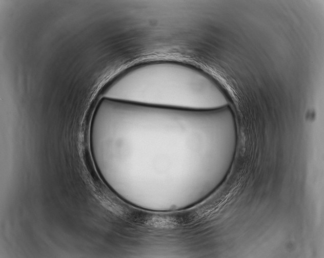 X0000101150487200806270803