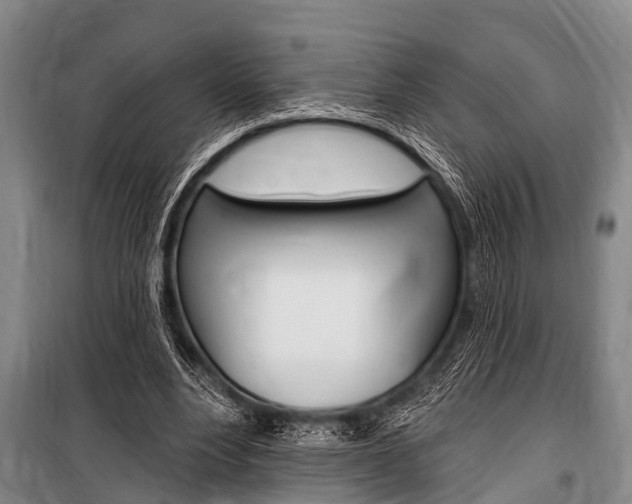 X0000101150488200806270803