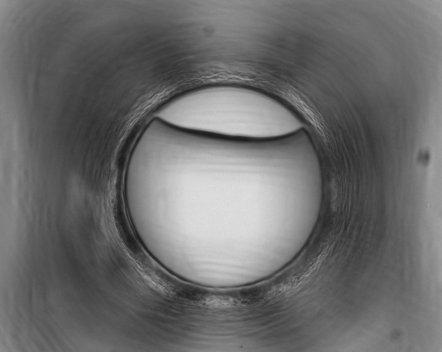 X0000101150490200806270803