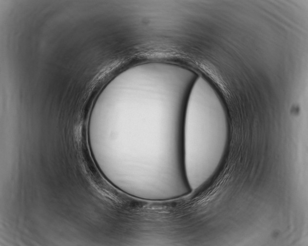 X0000101150491200806270803