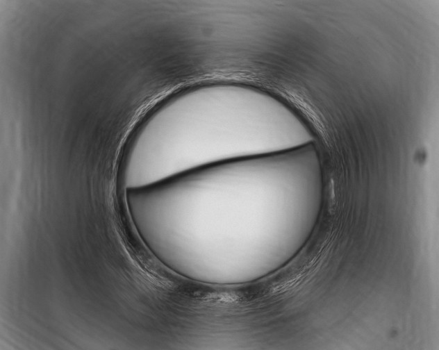 X0000101150492200806270803