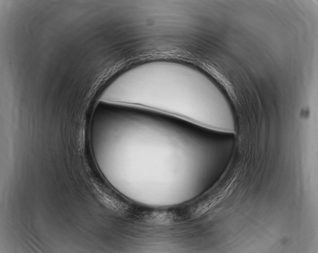X0000101150493200806270803