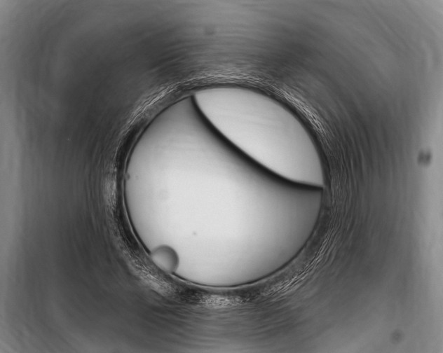 X0000101150494200806270803