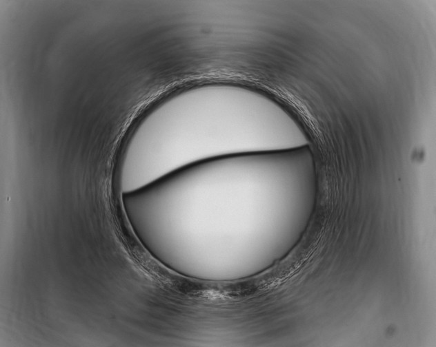 X0000101150496200806270803