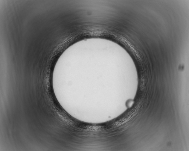 X0000101150497200806270803