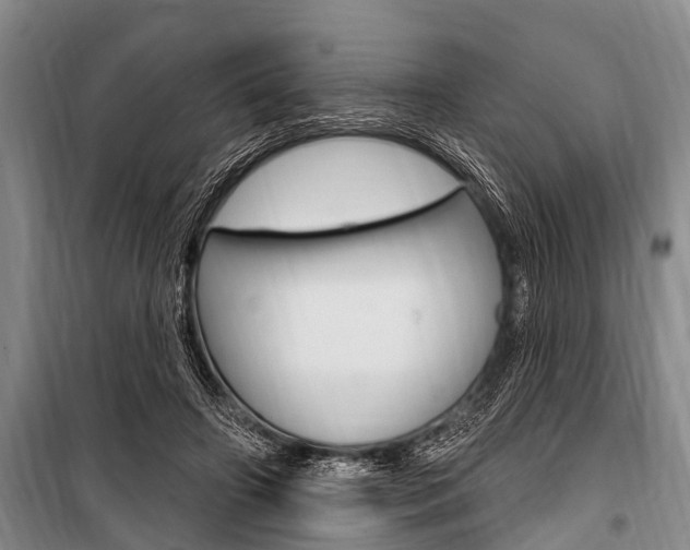 X0000101150498200806270803