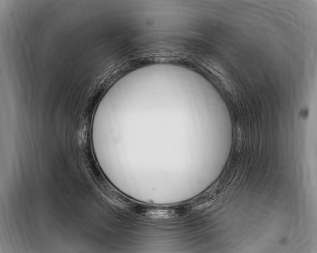 X0000101150499200806270803