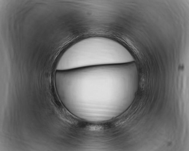 X0000101150500200806270803