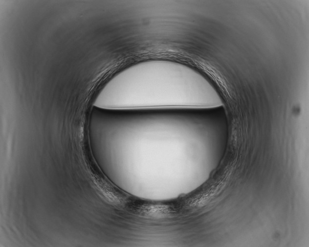 X0000101150501200806270803