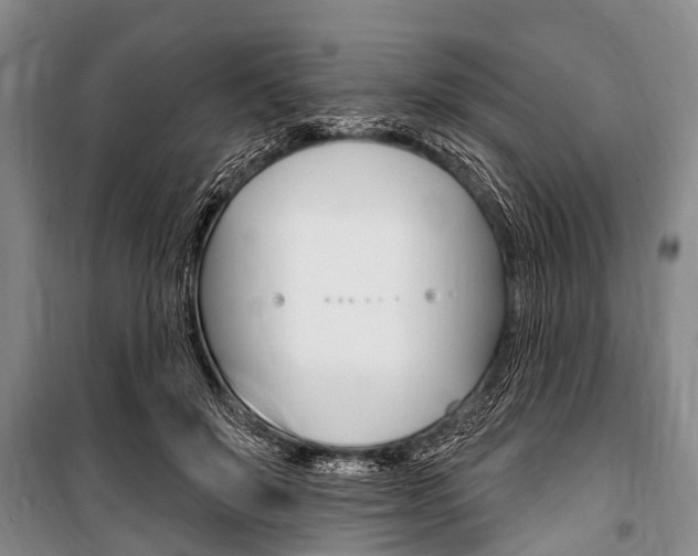 X0000101150503200806270803