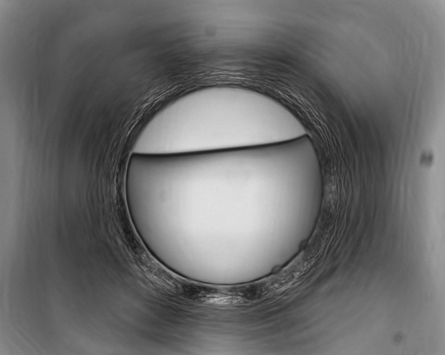 X0000101150504200806270803