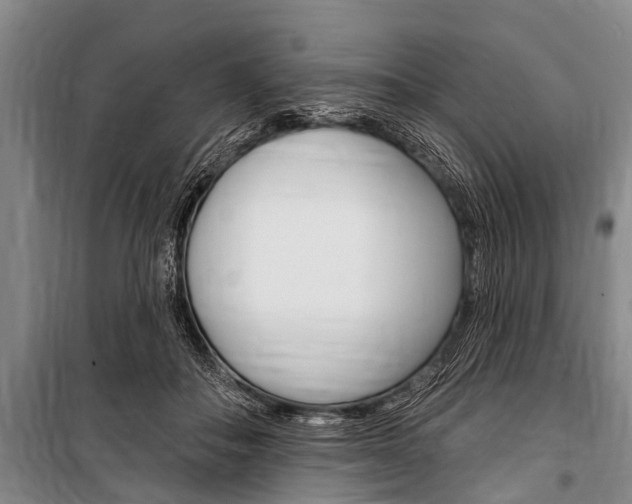 X0000101150506200806270803