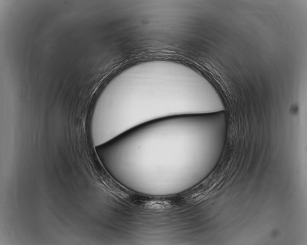 X0000101150508200806270803
