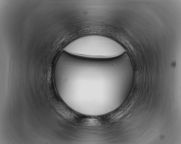X0000101150509200806270803