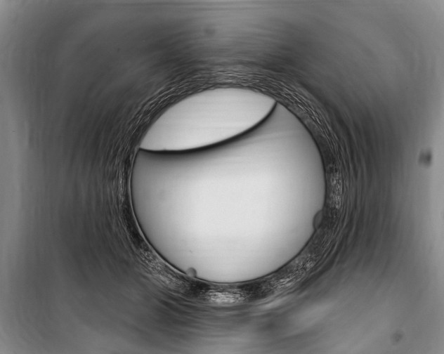 X0000101150510200806270803