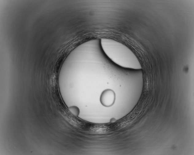 X0000101150514200806270803