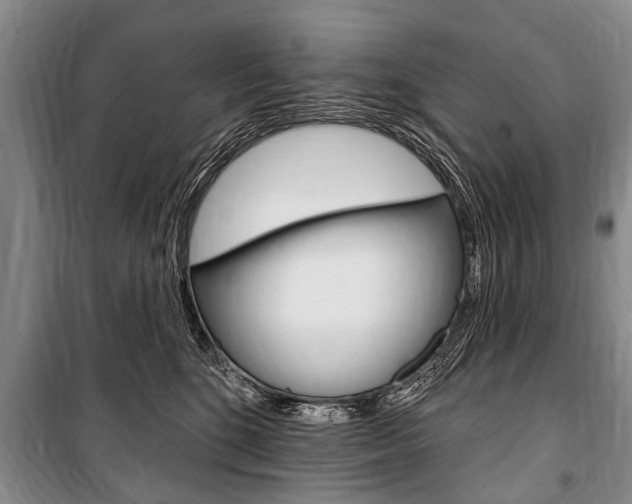 X0000101150520200806270803
