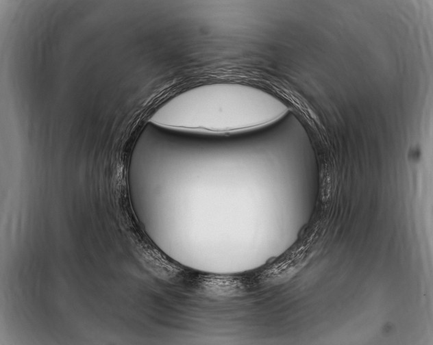 X0000101150521200806270803