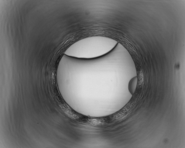 X0000101150522200806270803