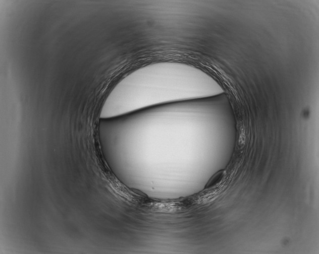 X0000101150524200806270803