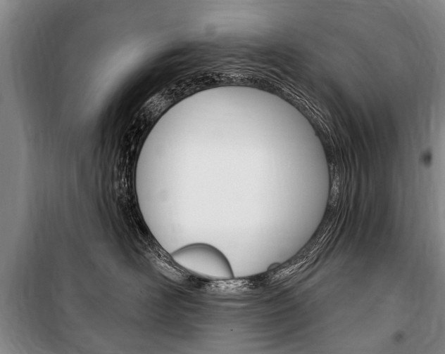 X0000101150526200806270803
