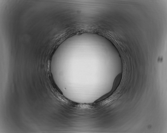 X0000101150528200806270803