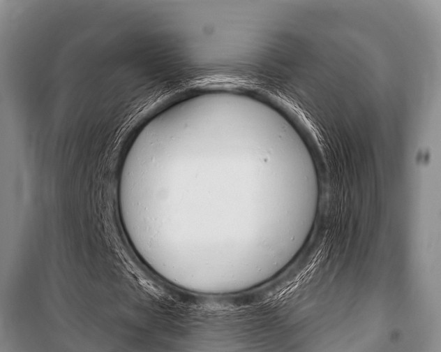 X0000101150529200806270802