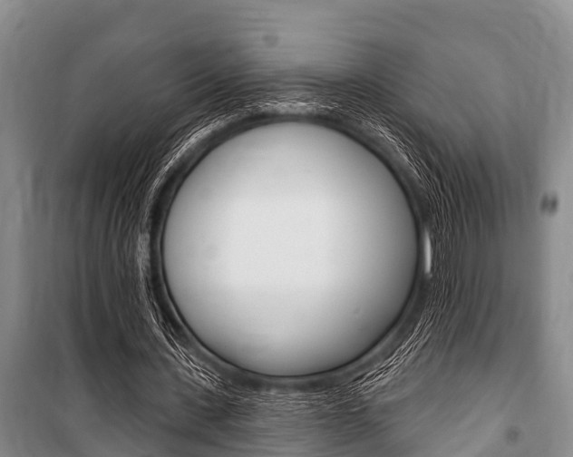 X0000101150531200806270802