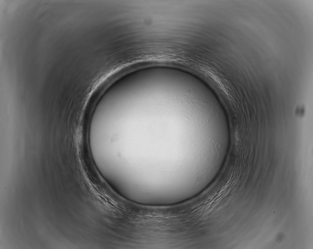 X0000101150532200806270802