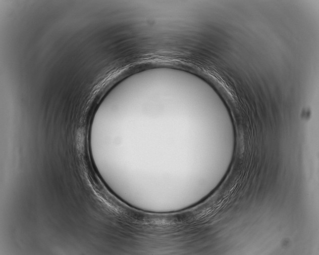 X0000101150533200806270802