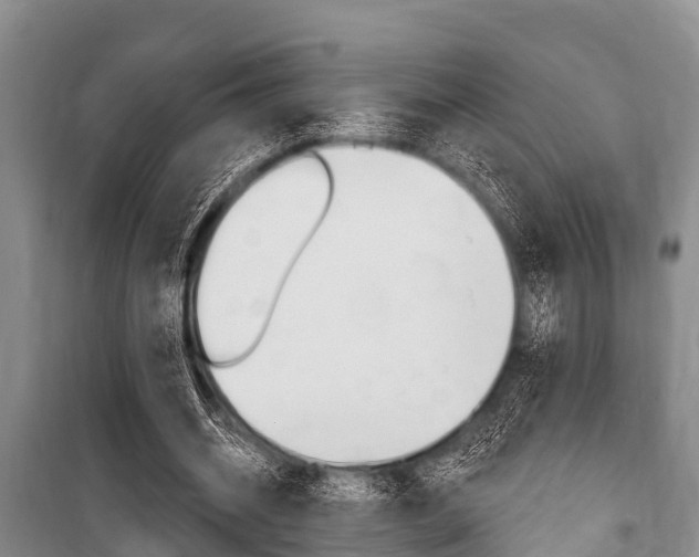 X0000101150534200806270802