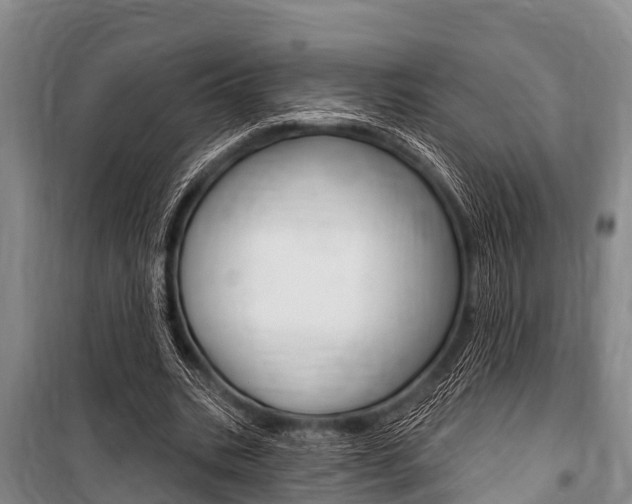X0000101150535200806270802