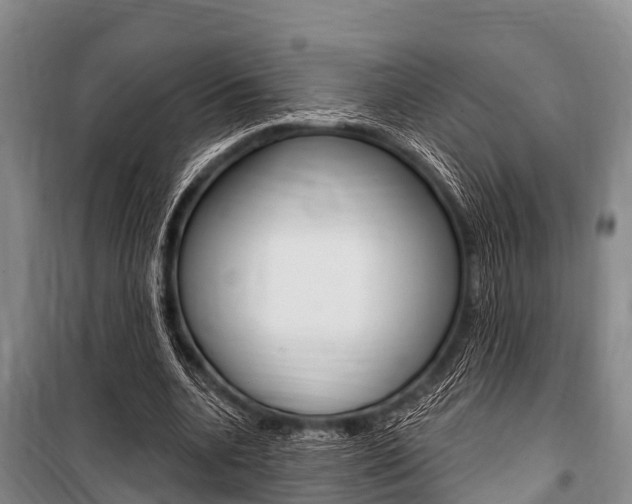 X0000101150536200806270802