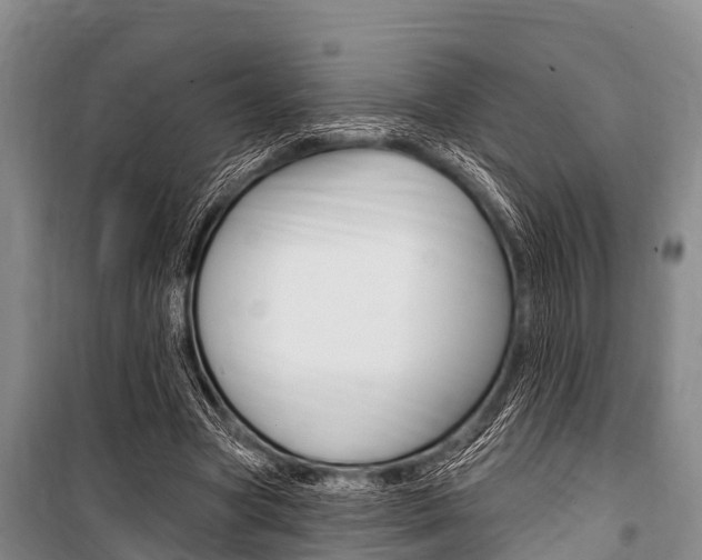 X0000101150537200806270802