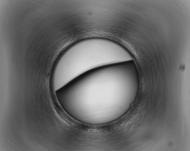 X0000101150538200806270802