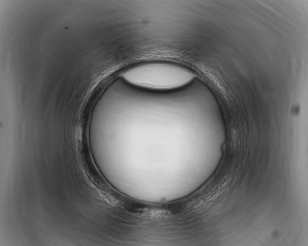 X0000101150539200806270802