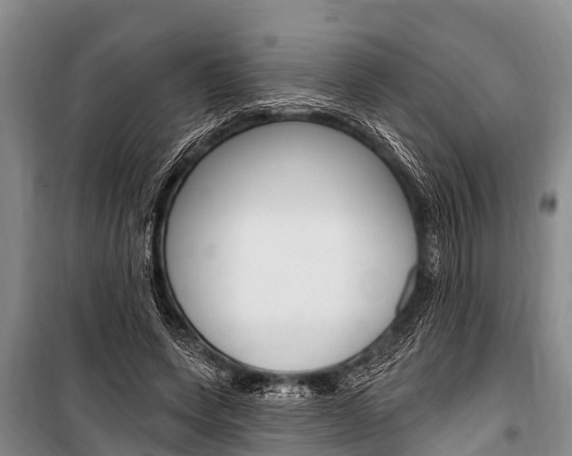 X0000101150543200806270802