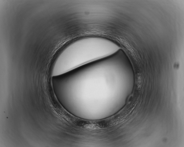 X0000101150544200806270802