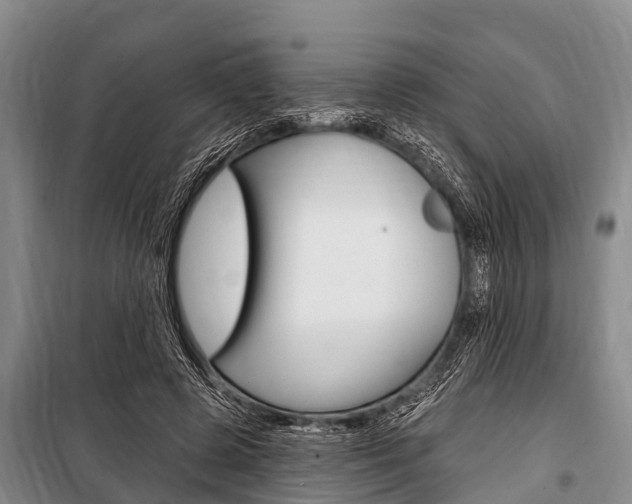 X0000101150545200806270802